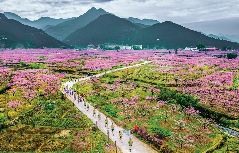 澳门六合彩开奖记录资料