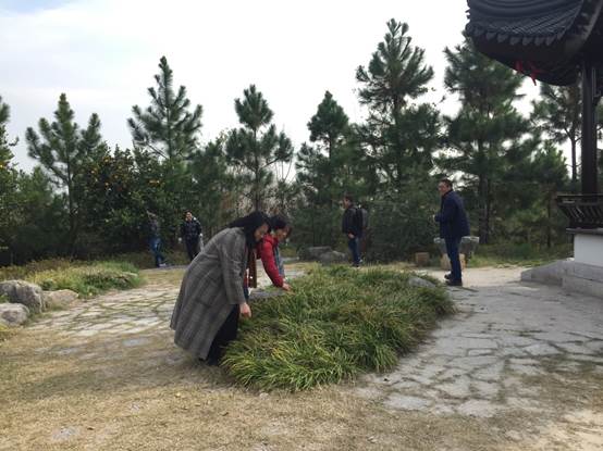澳门六合彩开奖记录资料